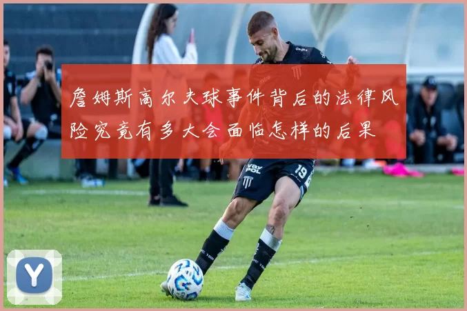 詹姆斯高尔夫球事件背后的法律风险究竟有多大会面临怎样的后果