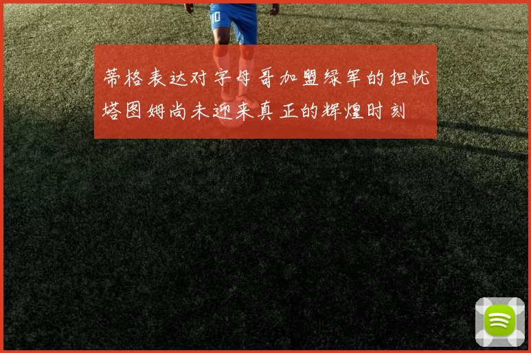 蒂格表达对字母哥加盟绿军的担忧塔图姆尚未迎来真正的辉煌时刻